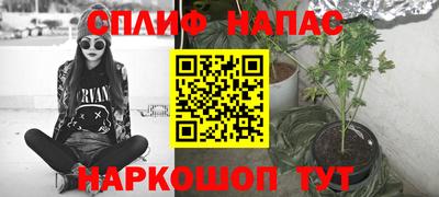 мдпв Будённовск