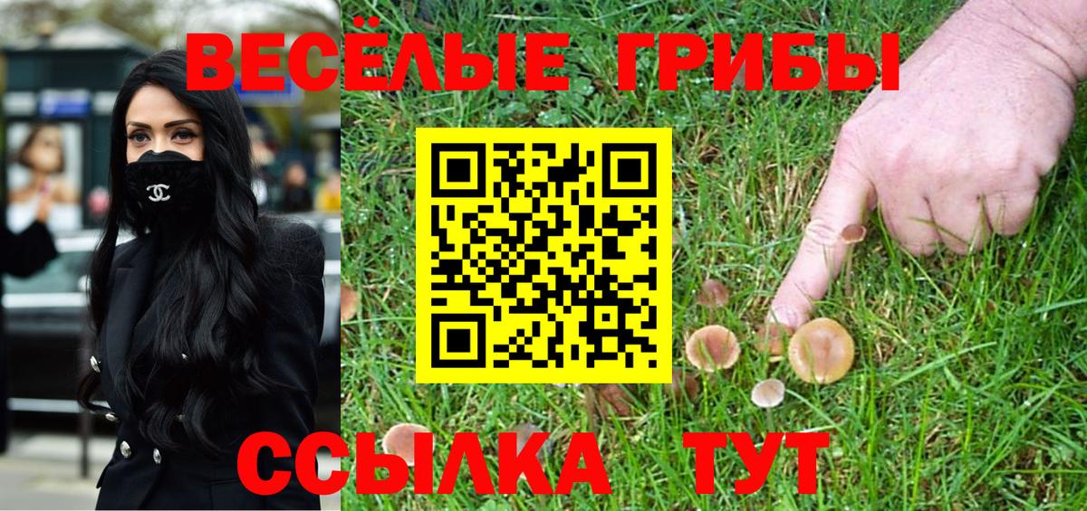 Галлюциногенные грибы MAGIC MUSHROOMS  Псилоцибиновые грибы MAGIC MUSHROOMS  Советская Гавань  Вход с VPN 